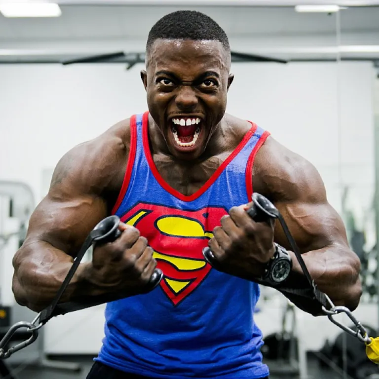 Les logiciels horizontaux : une approche polyvalente pour l'industrie